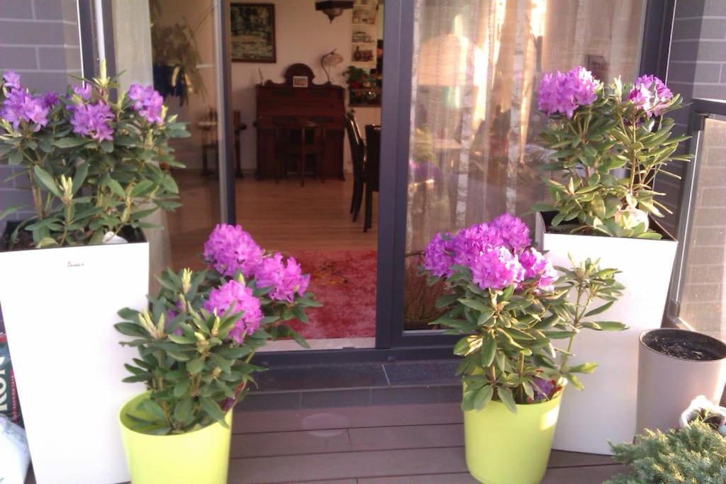 Peaceful Stay/heart Of Gdansk/unforgettable Leilighet *